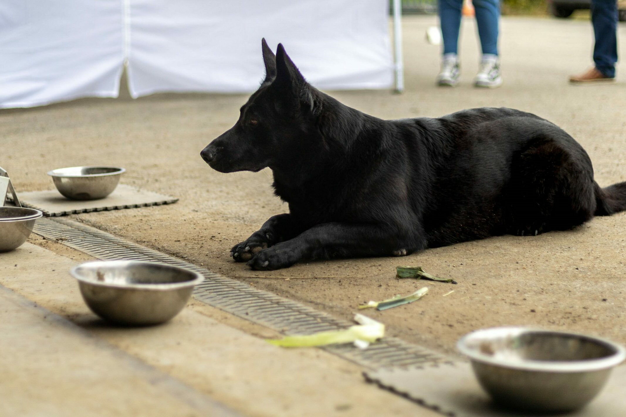 2024-10-04-Obejump 1